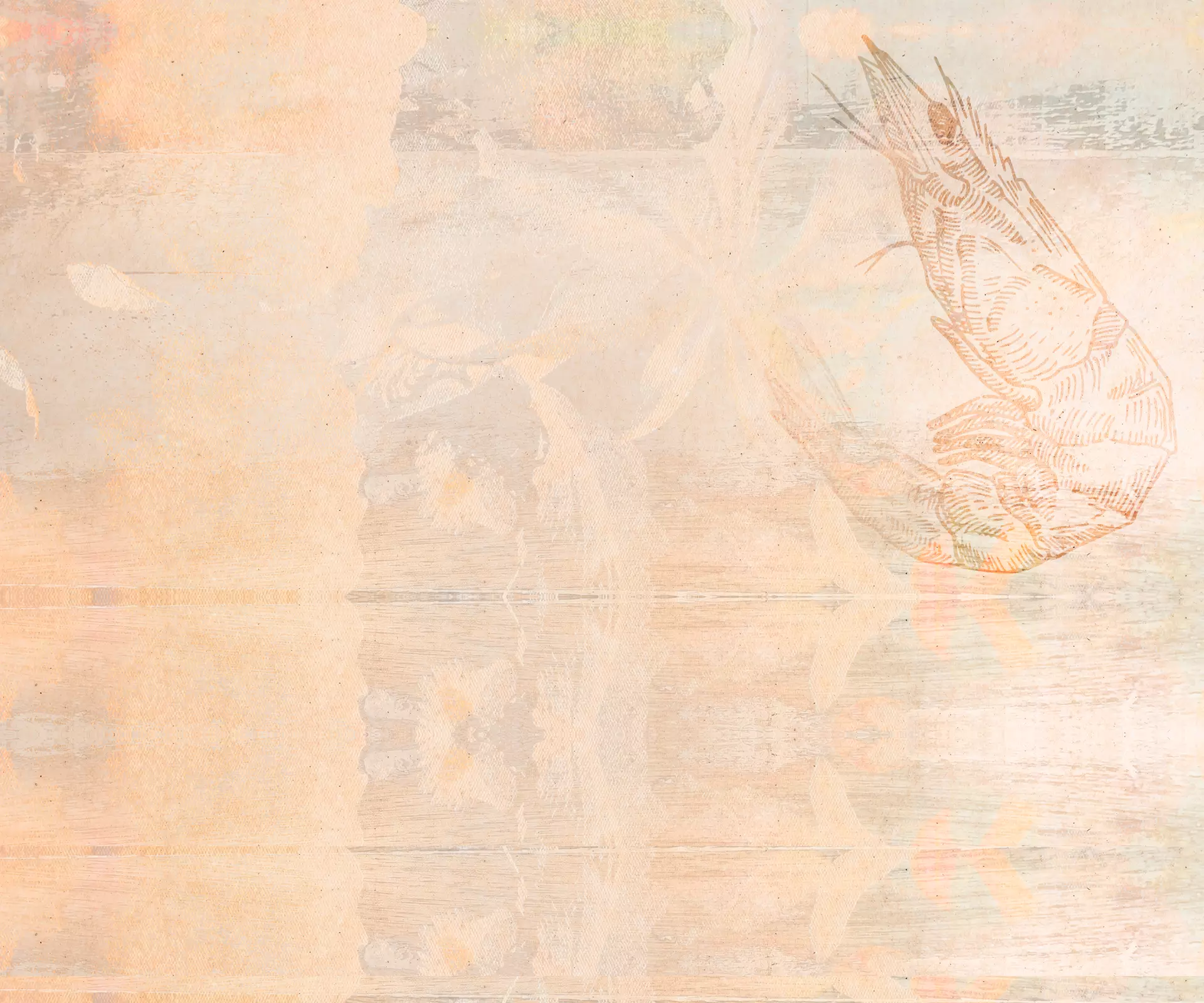 Background com ilustração de camarão
